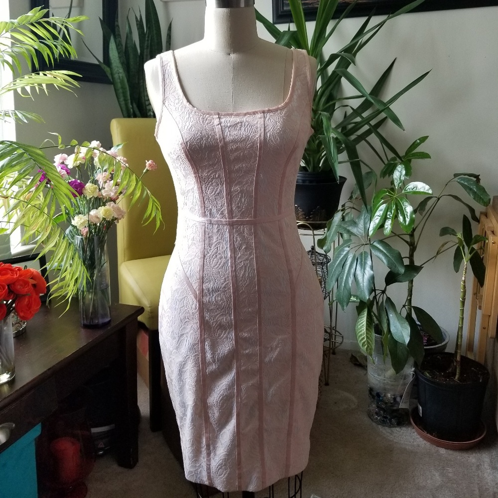 Cache Day Dress